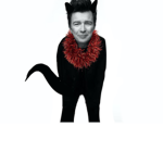 Rick Astley kitty