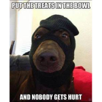 Dogs_Nation