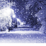Snow dp