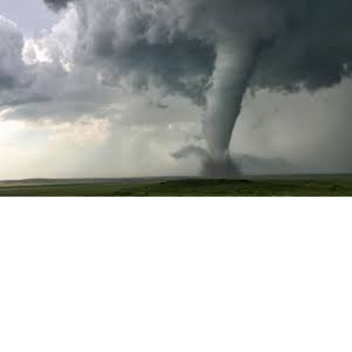 Survive the tornado