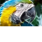 Animal Party Inc.
