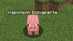Saco de papas xd