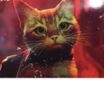 Sonic cool cat