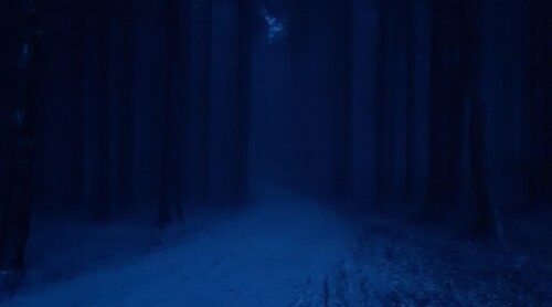 this is where i hide