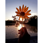 I cant think of a name help