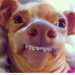 HI LES GENS