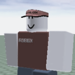 WGS ROBLOX