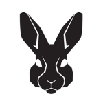 SillyBunny