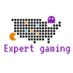 Expert Gaming Fans