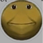 The new players community