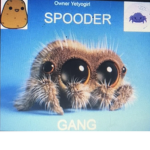 Spooder Gang :>