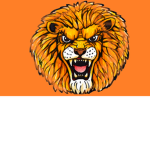 lion inc group