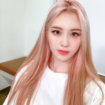 Official Bunny Fans Group