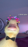 SunnyxplaysYT other group members