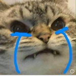 Kyn ek dung so