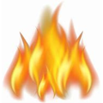 FireGavin