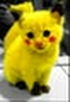 Foz Furry <3