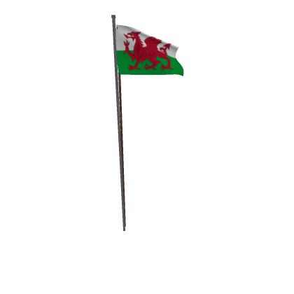 Welsh Flag