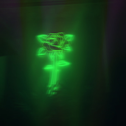𝐲𝐨𝐮