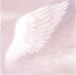 angel twenty two