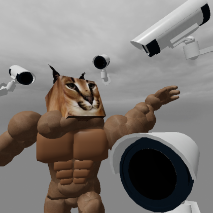 Spectate NPC'S! (E To View Other NPC'S) preview 1