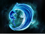 Blue fox creators