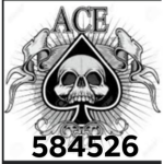 ace whatever you do