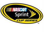 Nascar Racing Fans