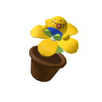 tinynob plant