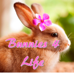 Bunnies 4 Life