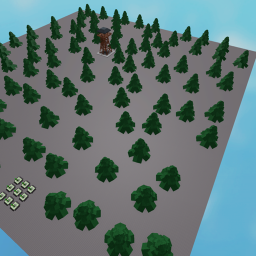 the woods