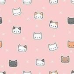 cute kitty clothes!
