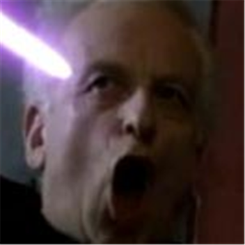 THE SENATE
