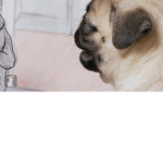 PUGGOS OF DOOM