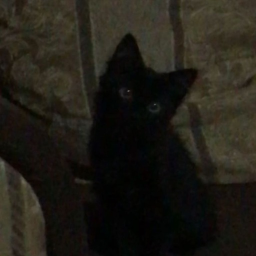 I