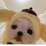 Frens <33