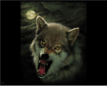 The Wolf Defenders