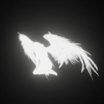 tbdcreation