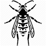 Yellowjacket はち