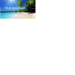 Palm Beach Airlines