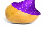 Magic Potato-studio