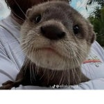 Cool Beanheads.