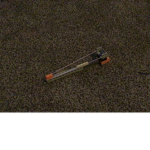 sfsd