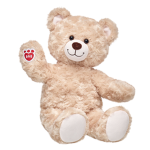 teddy cute