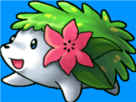 Shaymin Inforcers