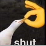 Shut.