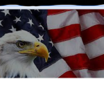 AMERICA-NEEDS-FREEDOM