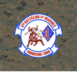 I Company, 3rd Battalion 1st Marines
