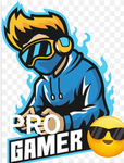 PRO SECRET GAMERS