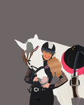 emerald raven riding academy